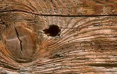 trabajos en carpintería de madera